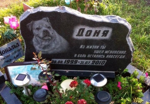 Організація похорону тварин у Києві