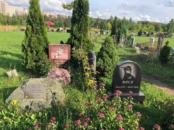 Організація похорону тварин у Києві