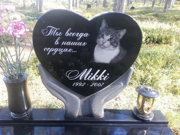 Ритуальное бюро для животных